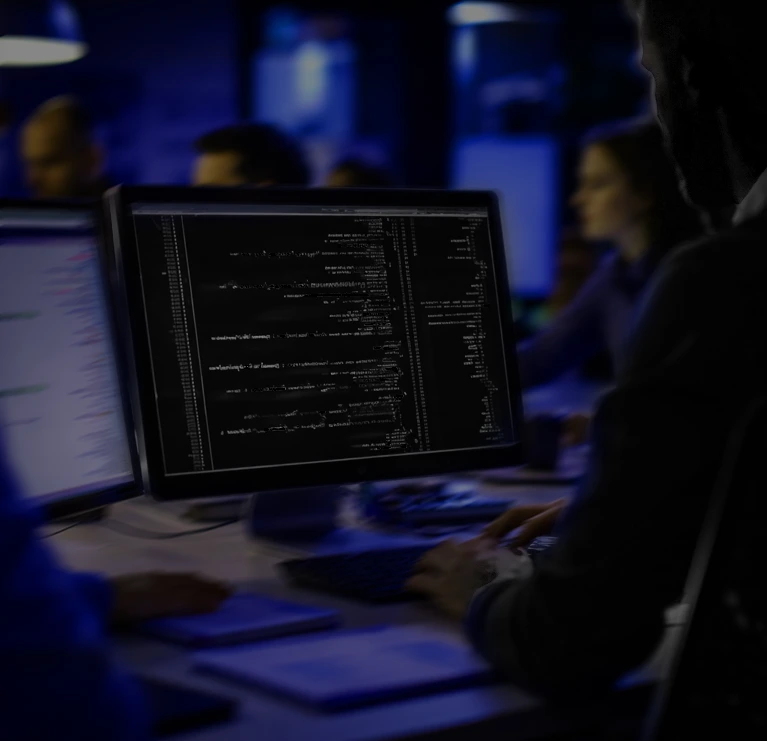 Software development